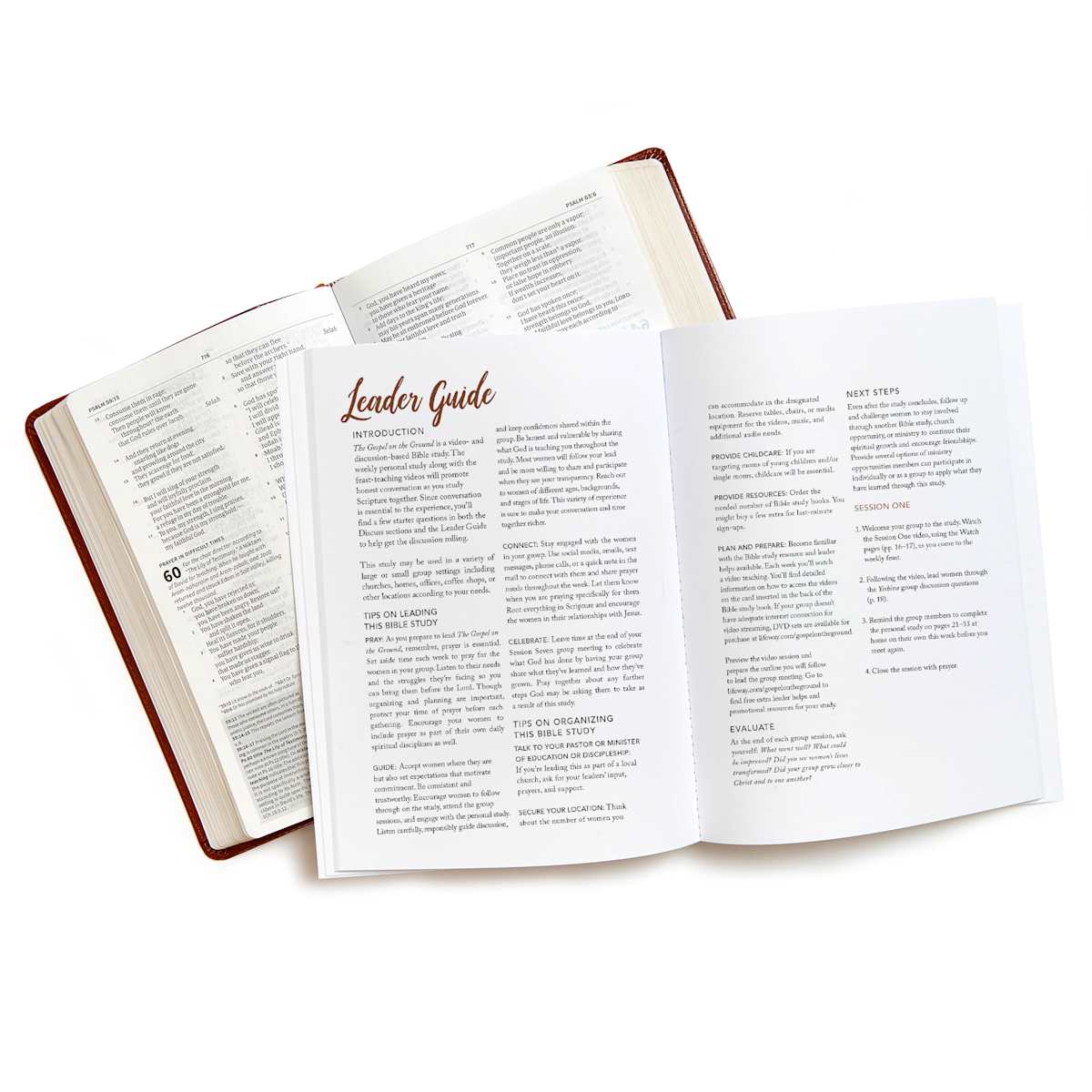 Lifeway - Wholesale Religion - Gospel on the Ground - Bible Study Book with Video Access3