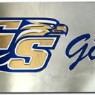GSU Georgia Southern Eagles Stainless Steel License Plate for wholesale by Turnovers Inc