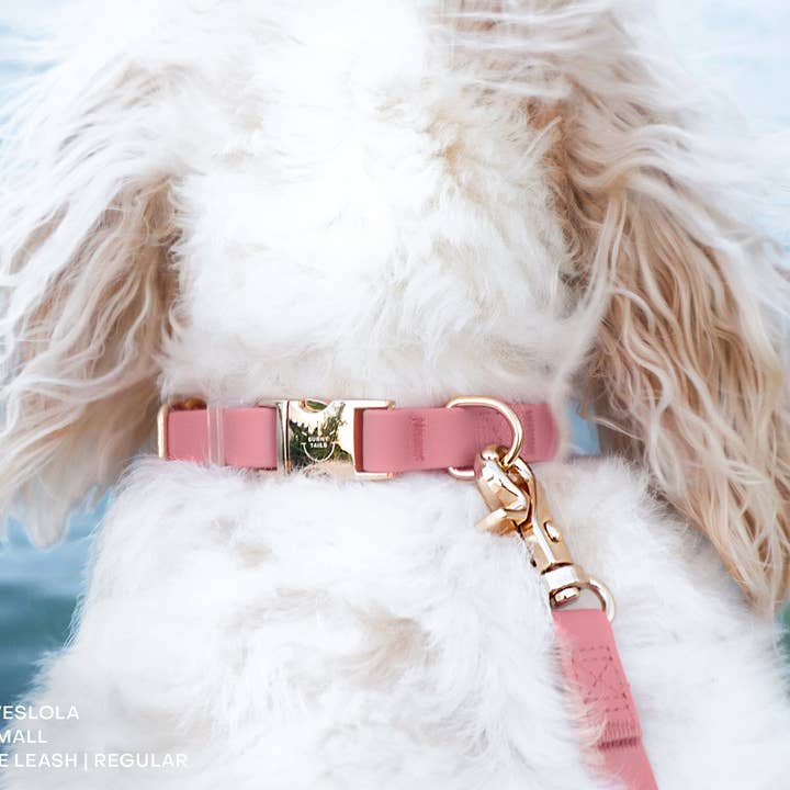 SUNNY TAILS - Wholesale Pet Leash - Dog - Perfect Pink Waterproof Cloud Dog Leash