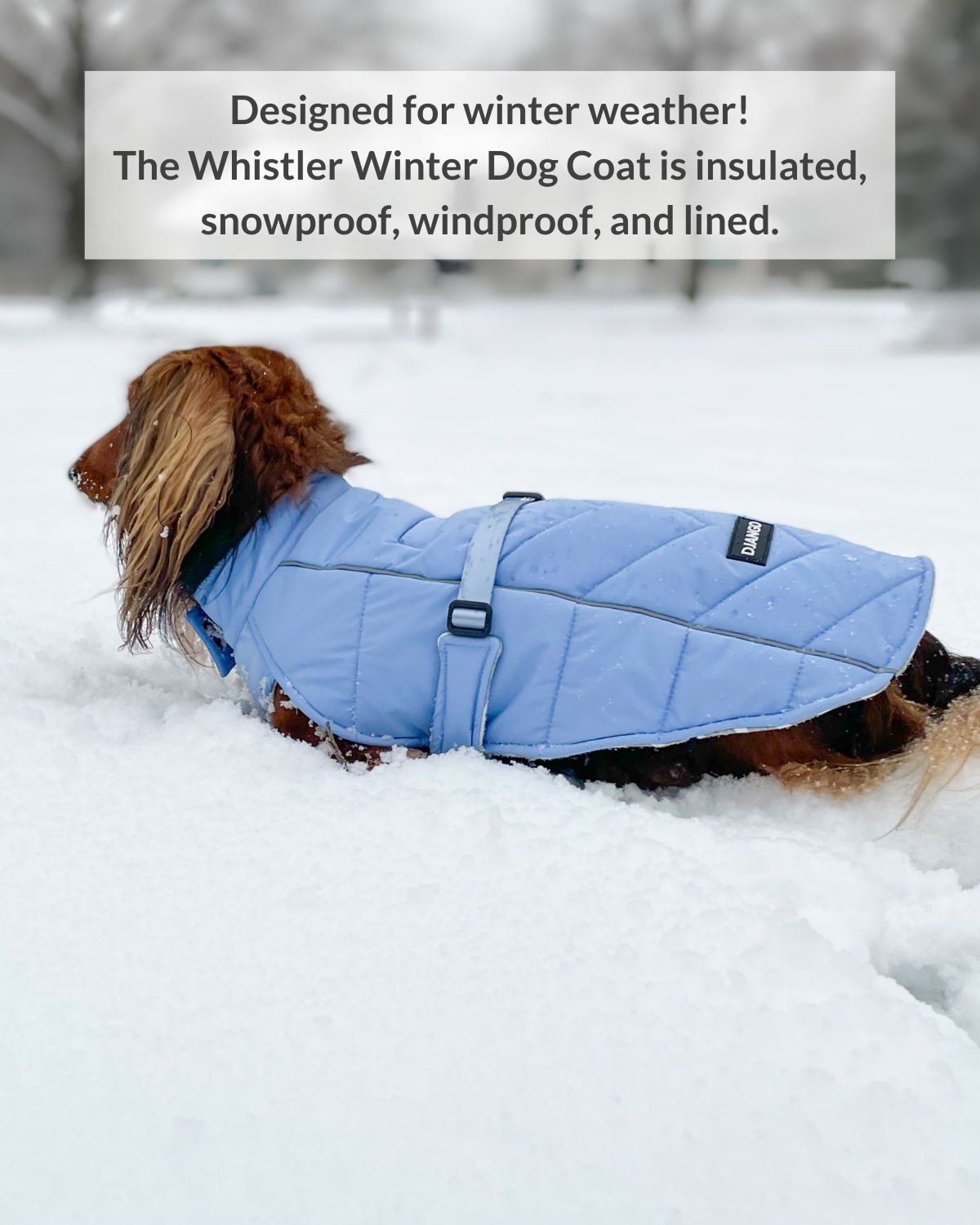 DJANGO - Wholesale Pet Coat - Dog - Whistler Winter Dog Coat - Dusk Blue1