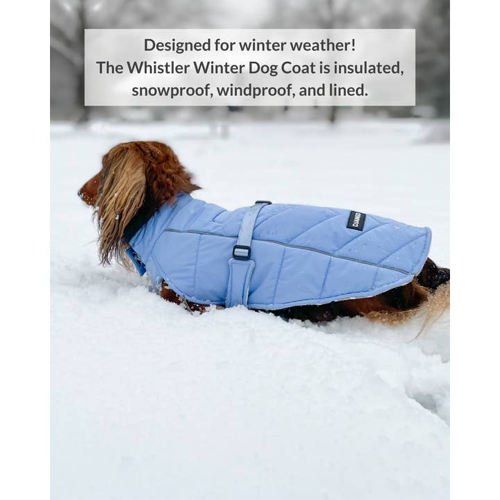 DJANGO - Wholesale Pet Coat - Dog - Whistler Winter Dog Coat - Dusk Blue1