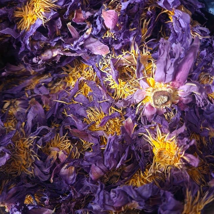 Wolf Moon Apothecary Tx - Vente Huile pour le bain/corps - Blue Lotus Sommeil Beauté | Magnésium | Soutien Avancé au Sommeil6