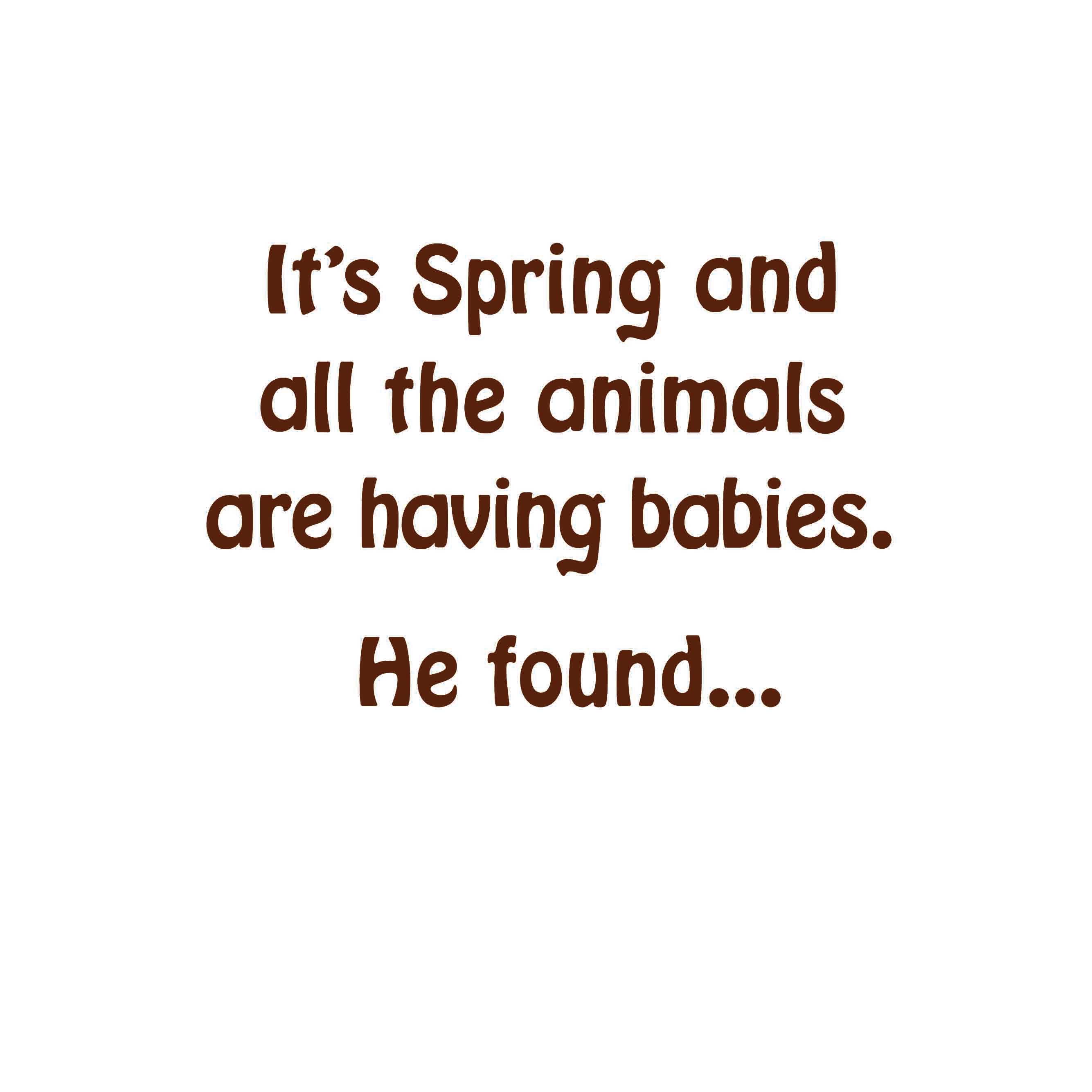 Miss Prince Publications - Wholesale Baby & Toddler Book (0-2) - A Book of Farm Babies3