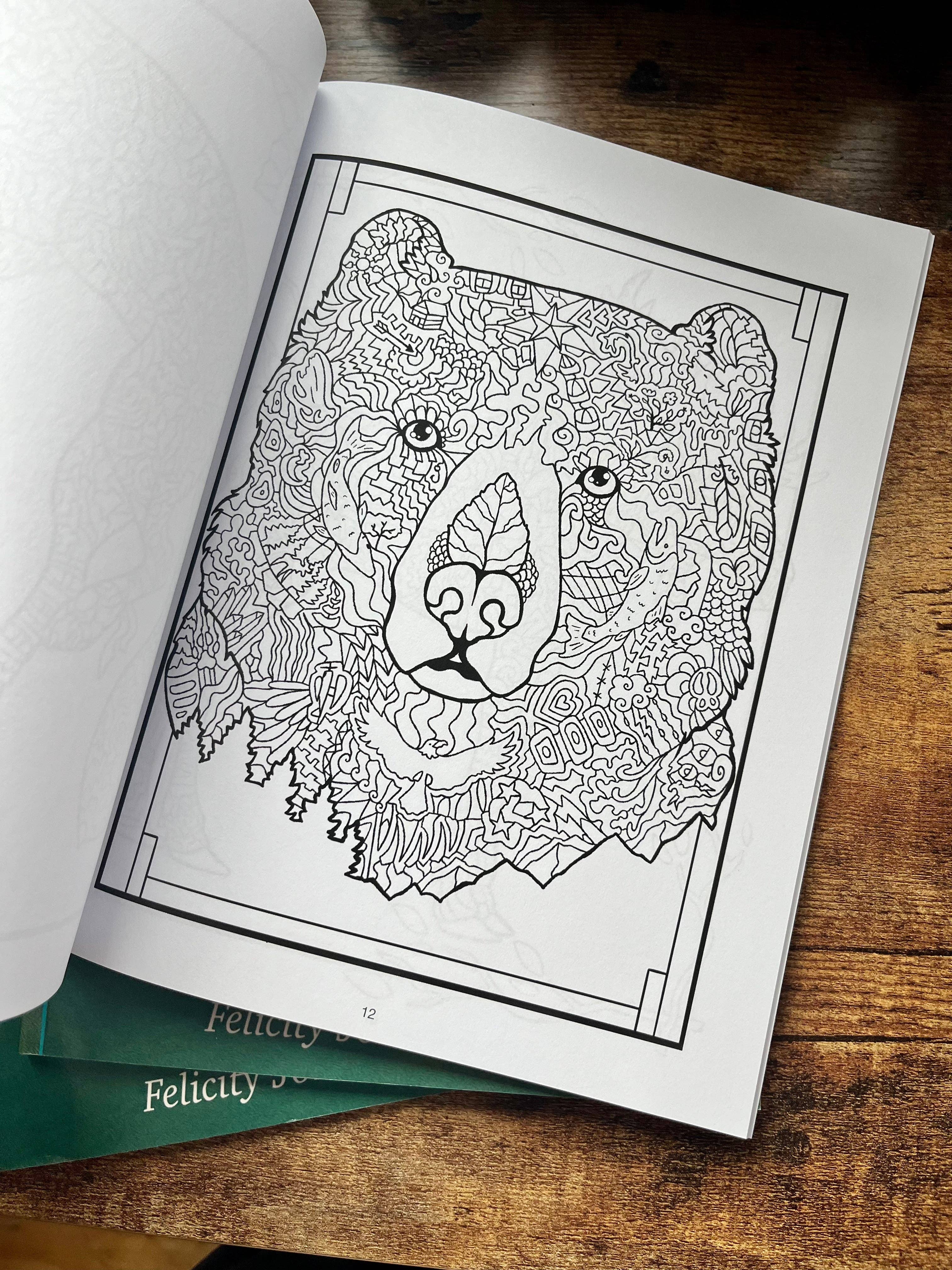 FJ Creations - Wholesale Coloring & Activity Book - Adult - Doodle Alaska 2 Coloring Book of Alaska8