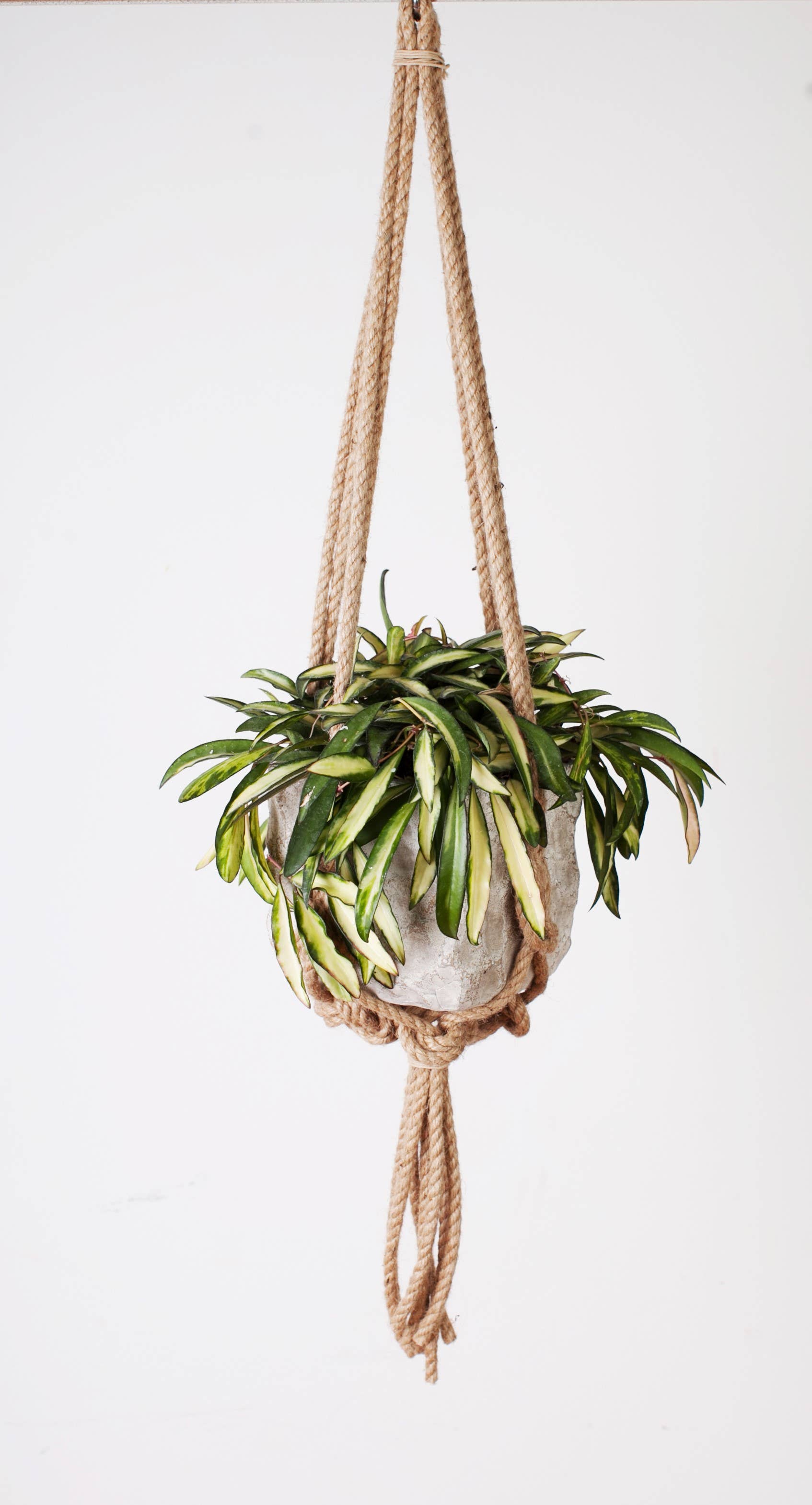 Primitive Planters - Wholesale Hanging Planter - 36" Knotted Rope Hanger0