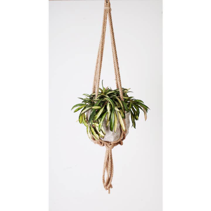 Primitive Planters - Wholesale Hanging Planter - 36" Knotted Rope Hanger