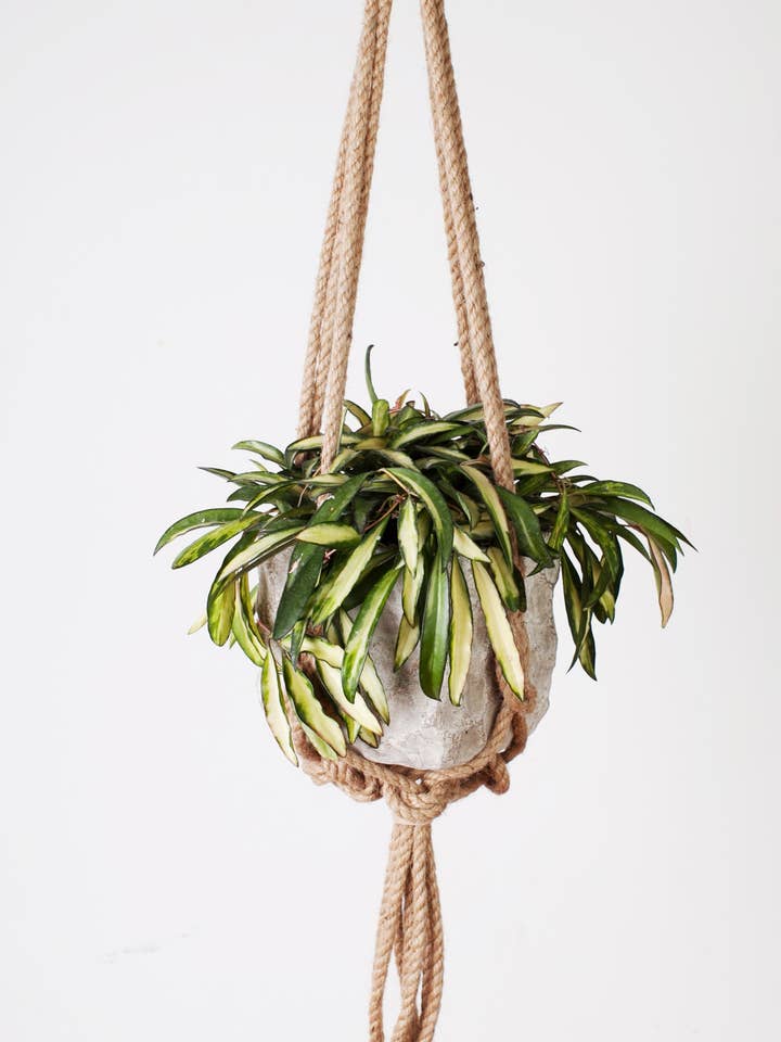 36" Knotted Rope Hanger for wholesale by Primitive Planters