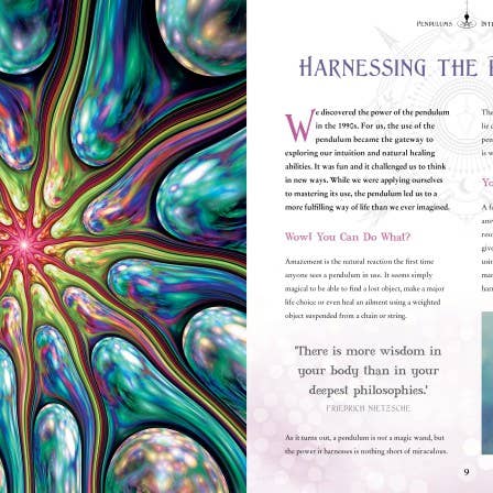 Texas Bookman - Wholesale Body, Mind & Spirit Book - Pendulums: For Guidance & Healing (Gothic Dreams)1