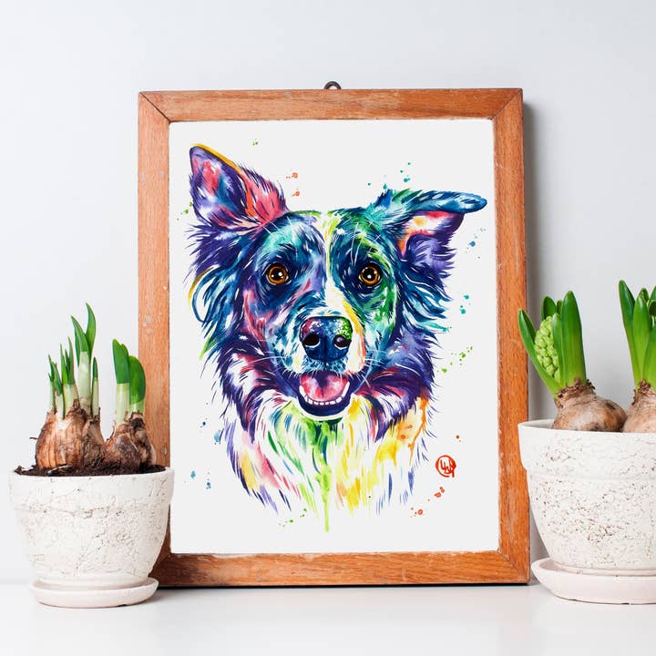 Border Collie Art Print, Pet portrait, Pet artist for wholesale by Whitehouse Art