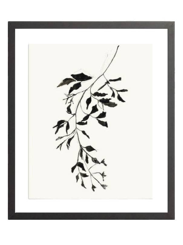 Botanische Tintenstudie II für den Großhandel von Splendus