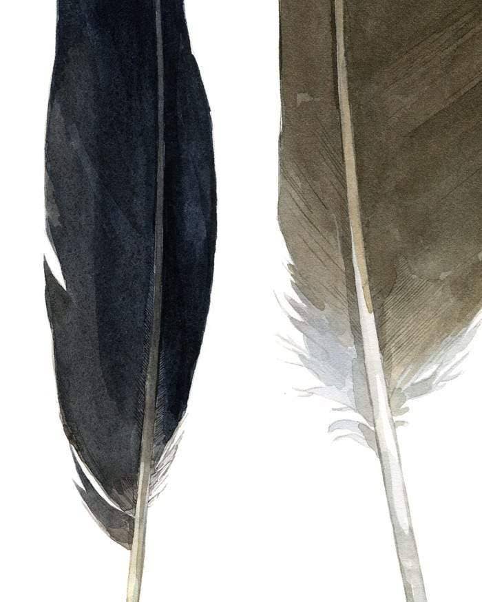 Studio Tuesday - Wholesale Art Print - Feather Watercolor Print3