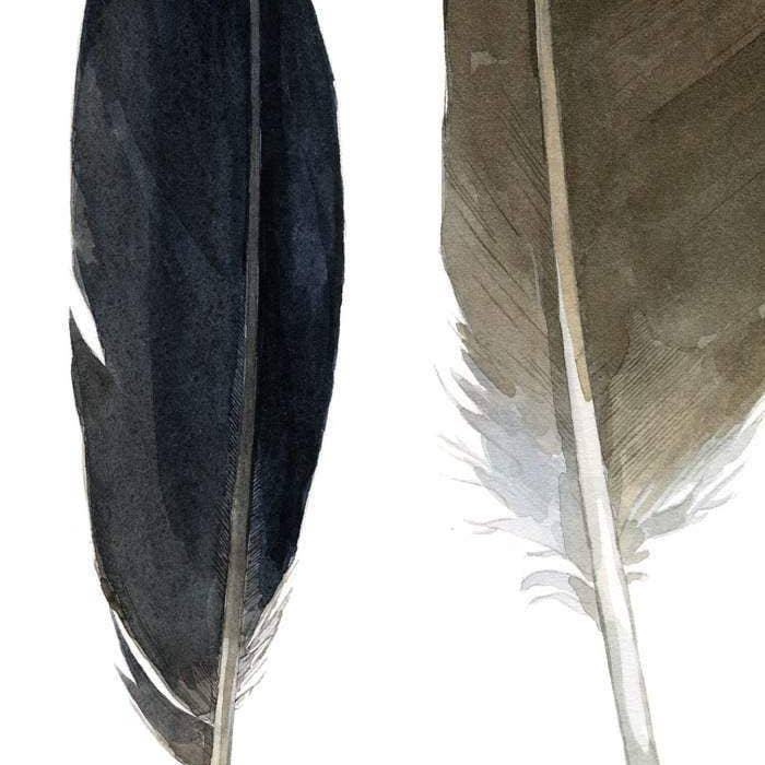 Studio Tuesday - Wholesale Art Print - Feather Watercolor Print3