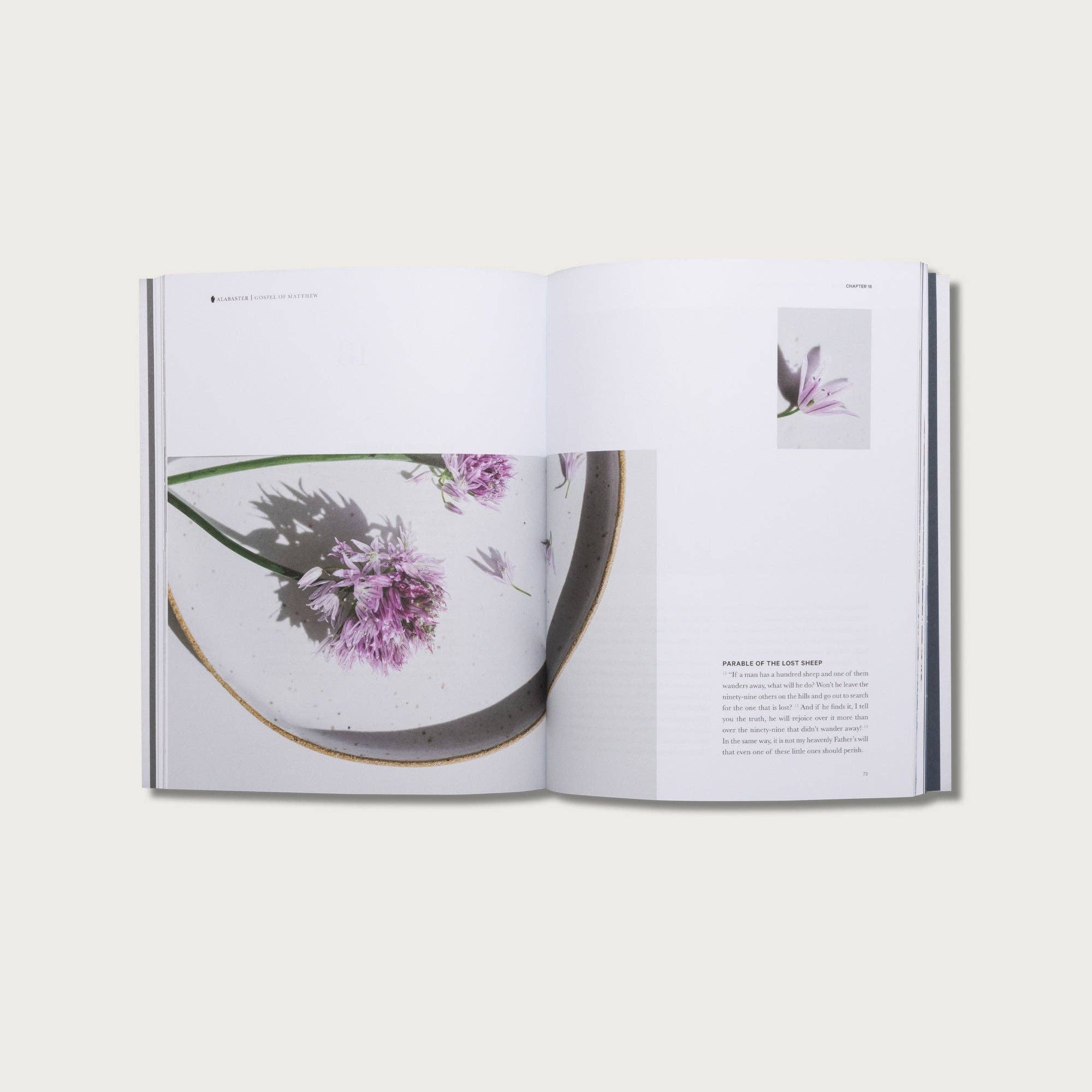 Alabaster Co - Vente Livre sur la religion - L'évangile de Matthieu2