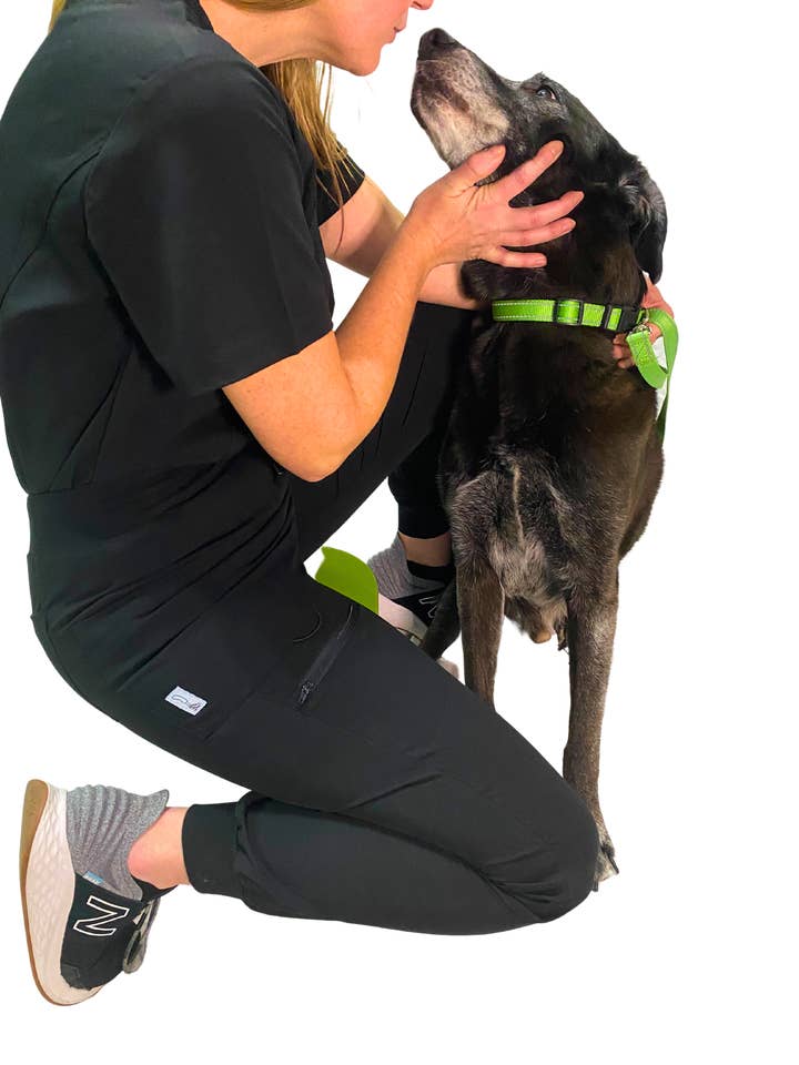 HiLo's Scrubs - Wholesale Pants - Women's - HiLo's Scrubs Uniform Jogger Pants Cargo Style2