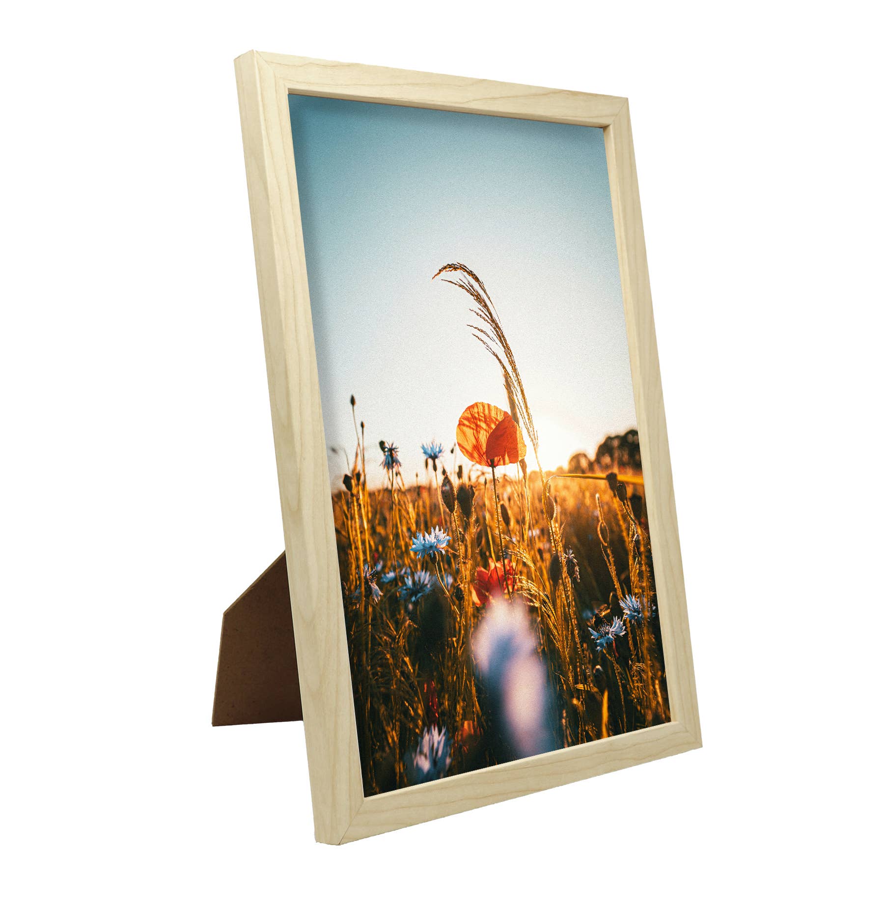 Close Up GmbH - Wholesale Picture Frame - Poster frame, picture frame 20 x 30 cm imitation pine2