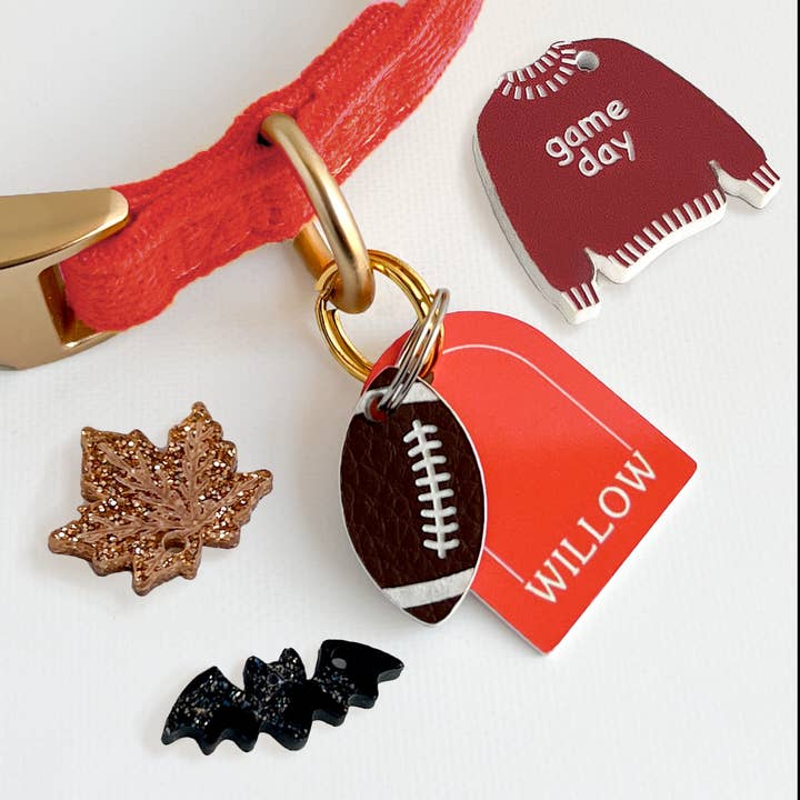 Herfst Huisdier Halsband Bedelset voor wholesale door Silly Goose Pets