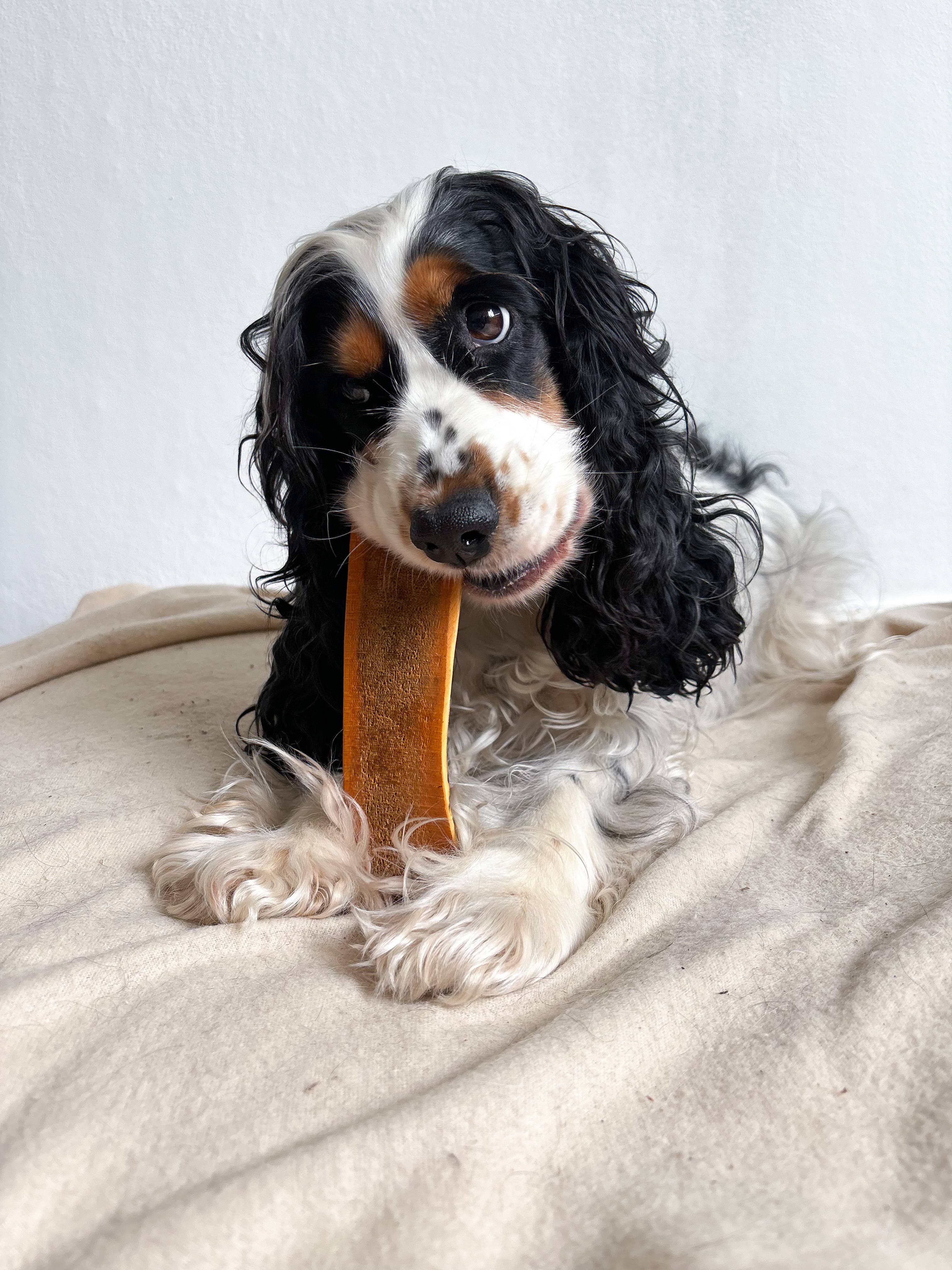 Evident - Wholesale Pet Bone/Rawhide - Dog - FANI - Sliced deer antler smoked with ham, without flavor!11