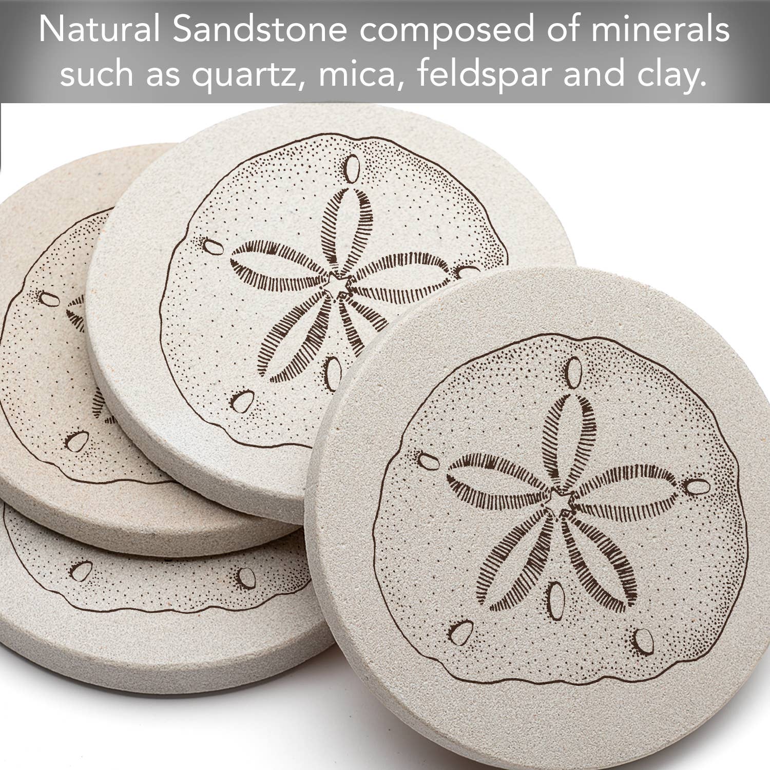 CounterArt/Highland Home/Thirstystone/CoasterStone - Wholesale Coasters - Thirstystone Sand Dollar Round Absorbent Sandstone Coasters2