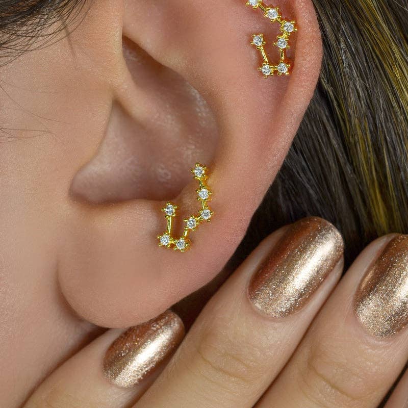 StockJWL - Wholesale Stud/Post Earrings - 12 Zodiac Earrings, Constellation Stud Earring Stud Piercing Tragus Helix Lobe and Cartilage Silver And Gold10