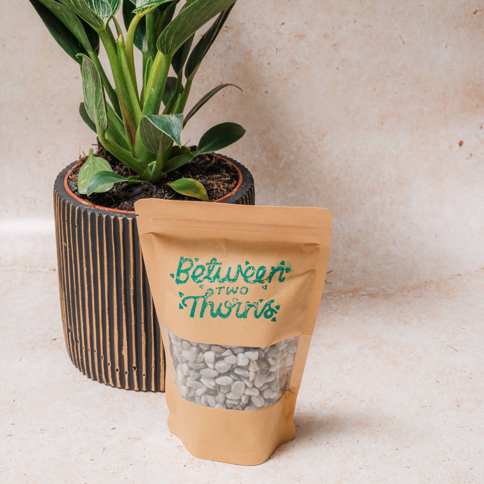 Between Two Thorns – wholesale Planting/potting soil – Decorative Gravel0