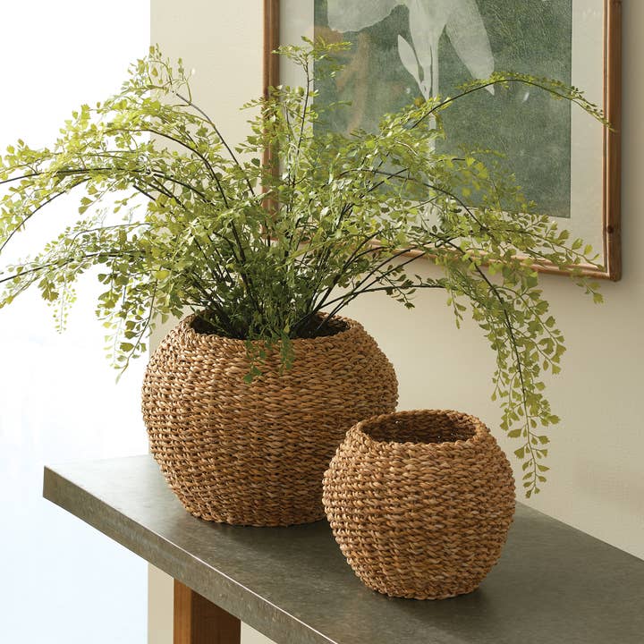 Napa Home & Garden - Wholesale Basket - Seagrass Plant Baskets, Set Of 21