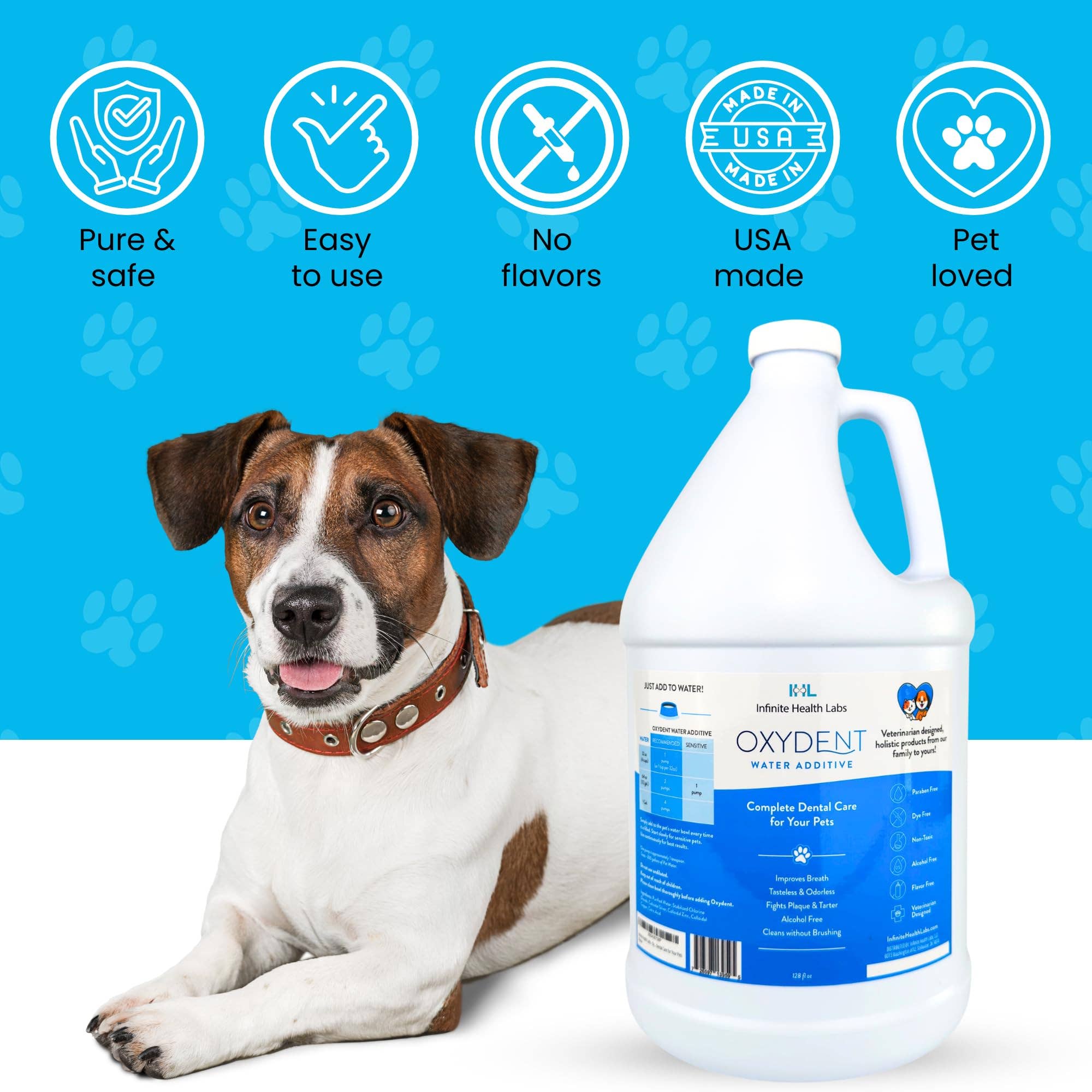 Infinite Health Labs, LLC – wholesale Kosttillskott för husdjur - Katt och hund – Oxydent Husdjur Tandvård7