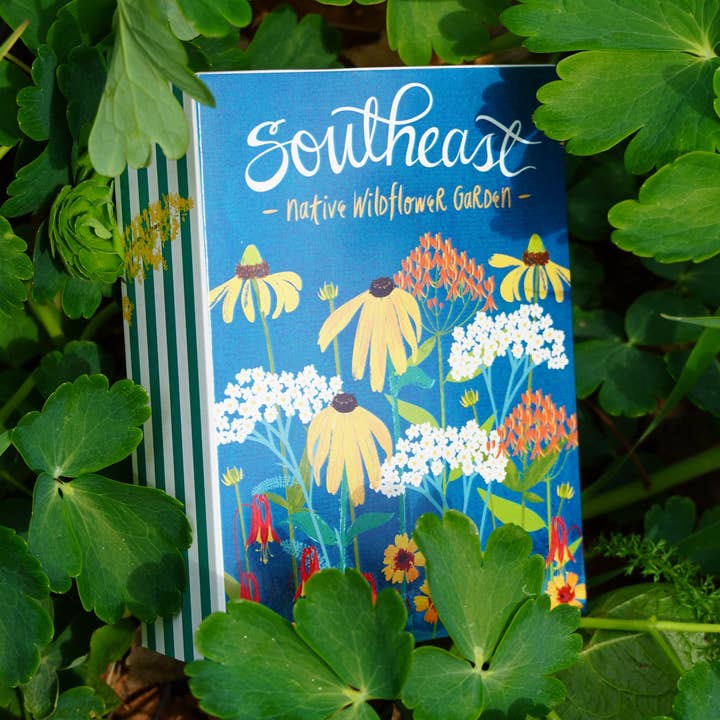 Boîte de collection de fleurs sauvages indigènes du sud-est pour la vente par Sow True Seed