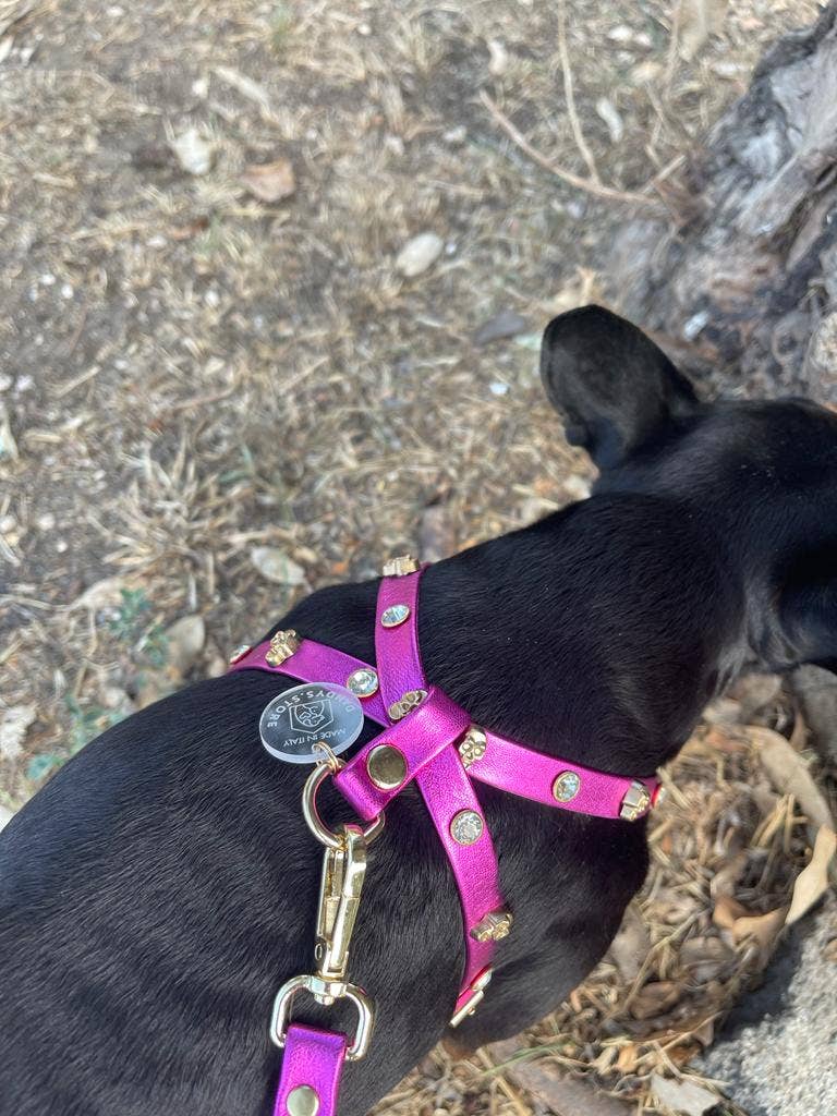 Dandy’s Store - Wholesale Pet Harness - Dog - Dog Harness Set | Genuine Tuscan Leather| Dandy's Store5