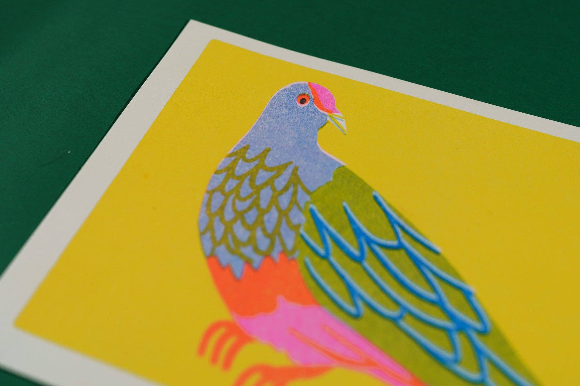 naomi wilkinson illustration – wholesale Art print – Fruit Dove print1