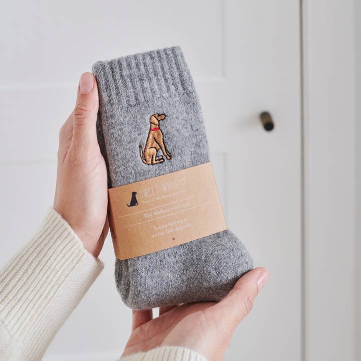 Sweet William Designs - Wholesale Socks - Unisex - Dog Walking Socks - Vizsla