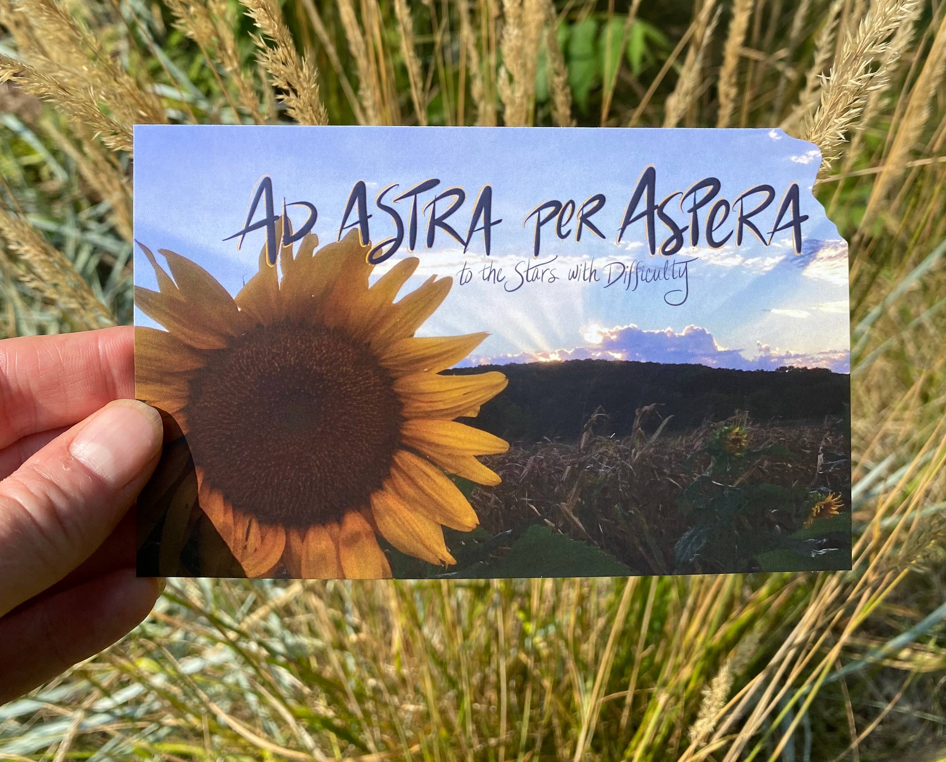 Something Beautiful - Wholesale Postcard - Ad Astra per Aspera Kansas Postcard1