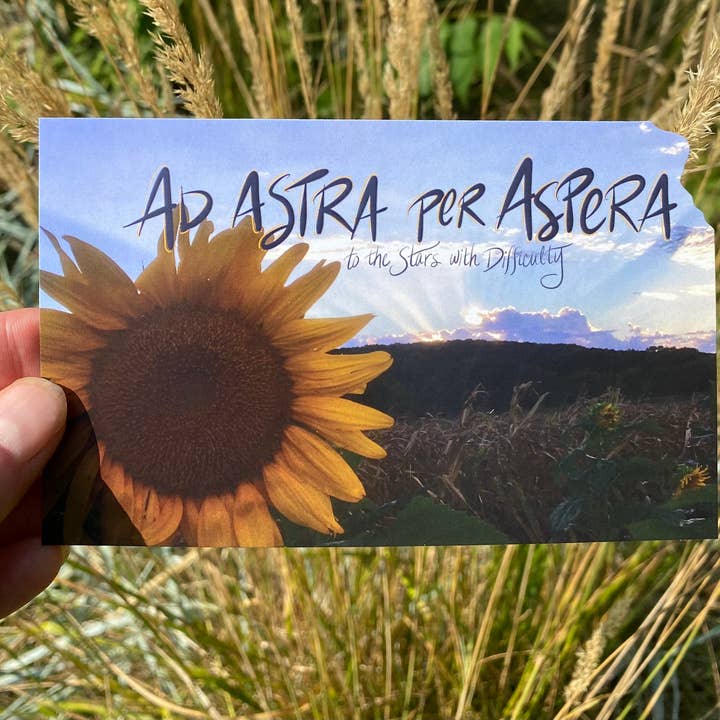 Something Beautiful - Wholesale Postcard - Ad Astra per Aspera Kansas Postcard1