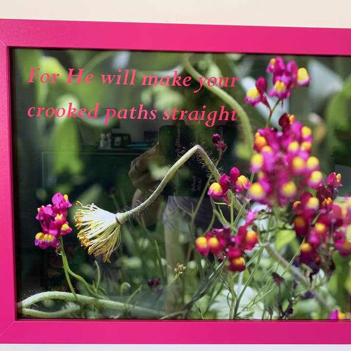 Crooked Path - pink framed wall print for wholesale by Analogy Designs