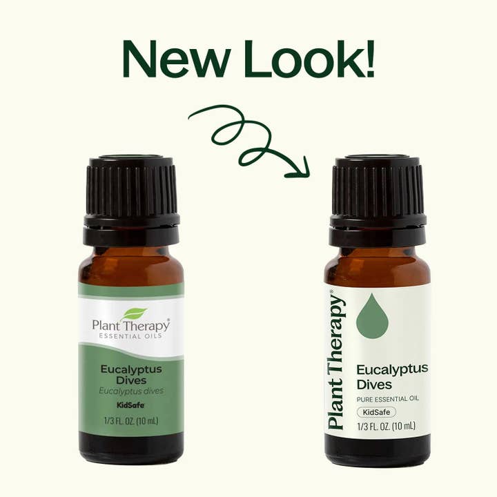 Plant Therapy - Wholesale Essential Oil - Eucalyptus Dives Essential Oil 10 mL2