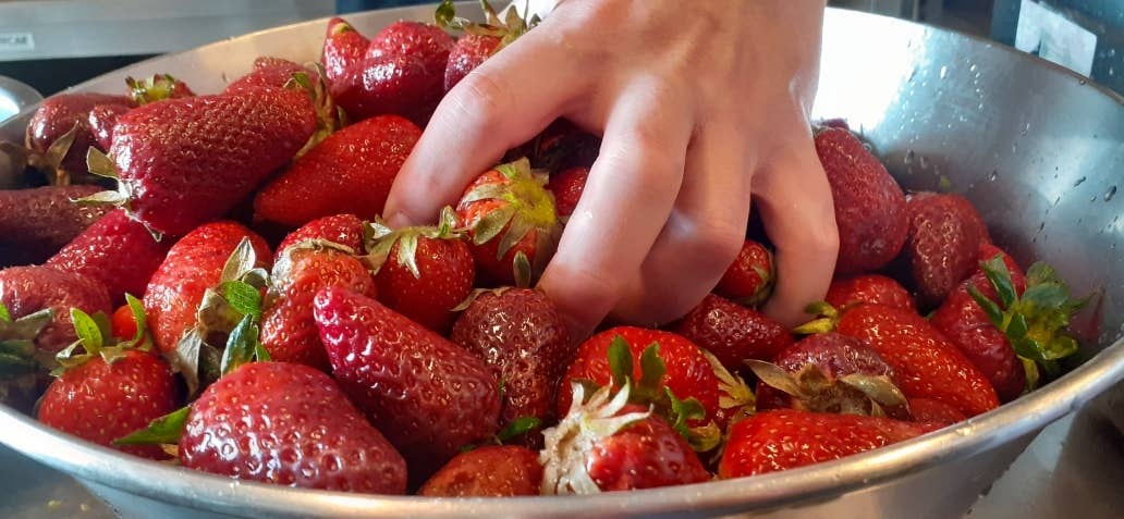 fruttanuda – Engroshandel Marmelade – Økologisk ekstra jordbærmarmelade uden konserveringsmidler8