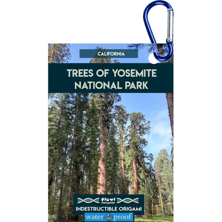 Bäume des Yosemite-Nationalparks-Unzerstörbares Origami für den Großhandel von Flexi Field Guides