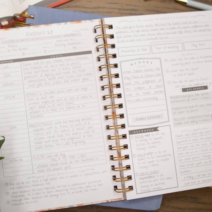 Chosen & Cherished - Wholesale Journal/Diary - Bible Journal for Verse by Verse Bible Study5