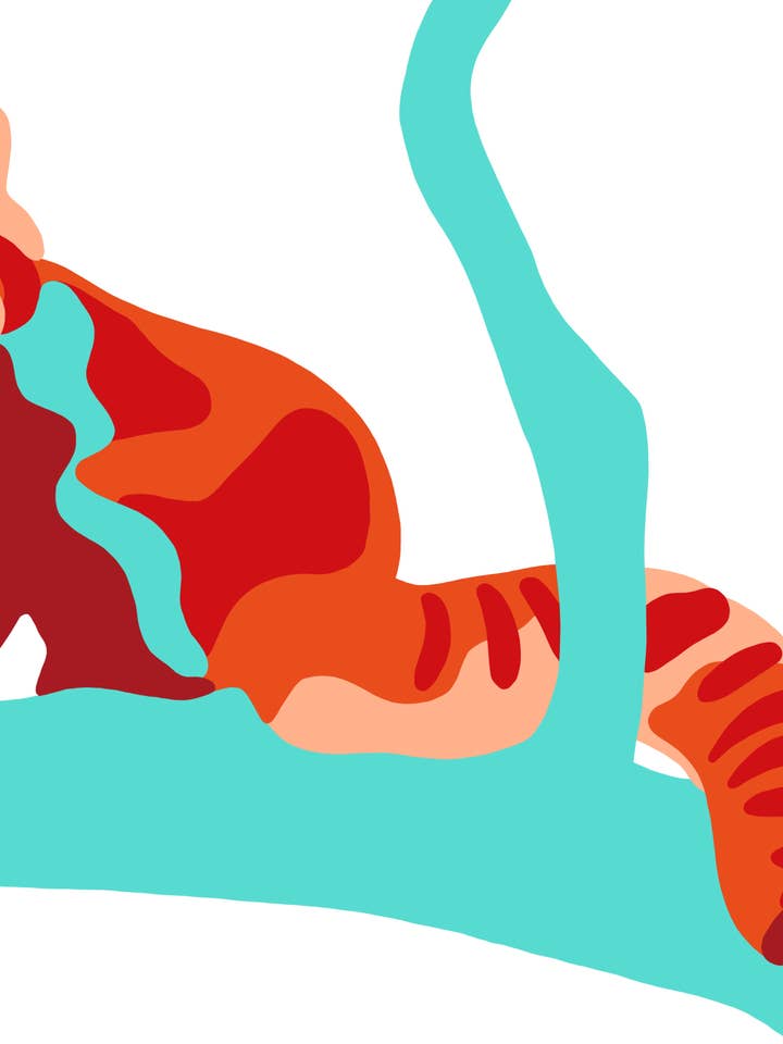 Panda Vermelho Pinta-By-Number por atacado de Fundenberger Studio