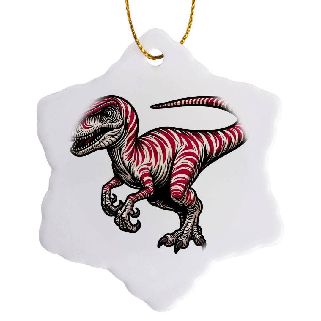 3dRose - Wholesale Ornament - 3dRose, Image Of A Pink Striped Velociraptor, Ornament7