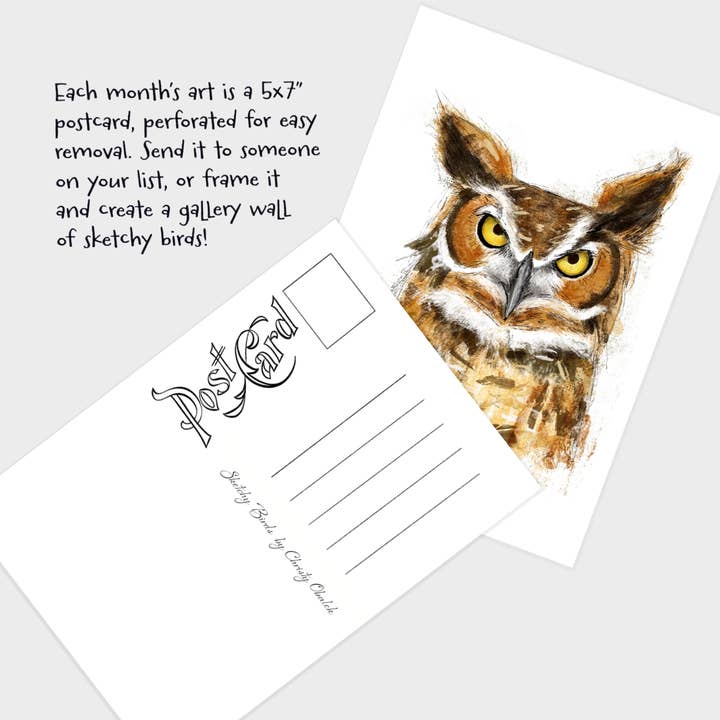 Christy Obalek Illustration - Wholesale Calendar - 2026 Wall Calendar Funny Painted Birds Tear-off Postcard1