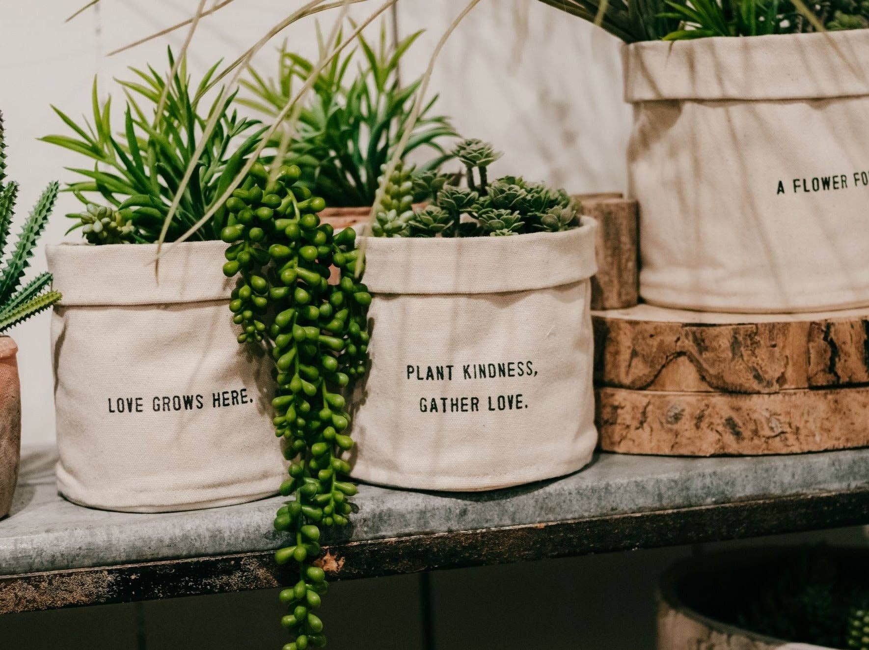 Sugarboo & Co - Wholesale Plant Pot - ***Plant Kindness Gather Love - Small Canvas Planter1