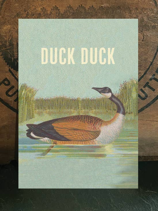 Duck Duck Goose #2 for wholesale by Irreverent Cards for Challenging Times