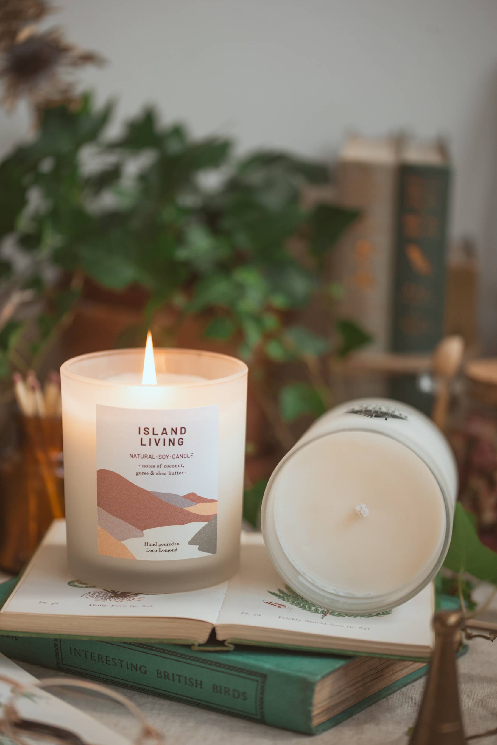 Ocoee House - Vendita all'ingrosso Candela in vasetto - Candela profumata biologica e vegana Island Living | Ocoee House10