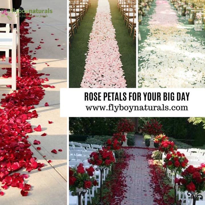 Flyboy Naturals Rose Petals - Wholesale Dried/pressed flowers - Bridal Pink Freeze-Dried Rose Petals – 30 Cups. Wedding. USA14