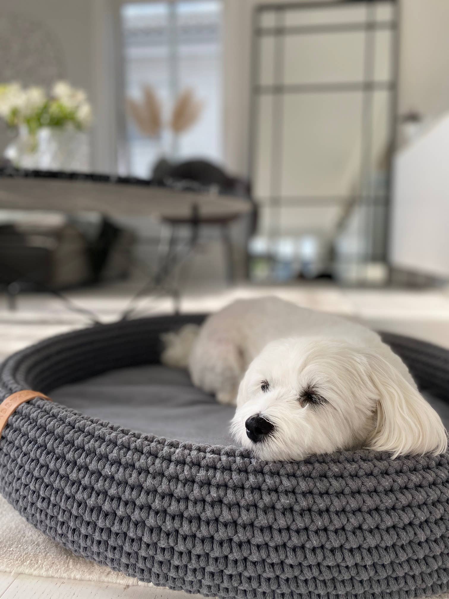 Labbvenn - Vente Panier – chien - Panier pour chien Lukko de forme ovale unique, entièrement fait à la main5