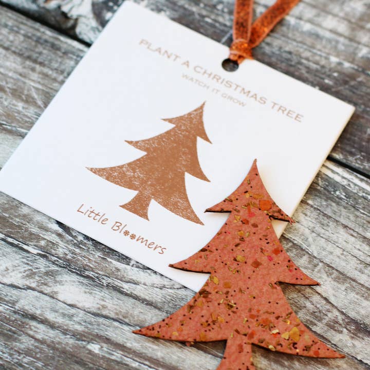 Plant a Bloomer - Wholesale Christmas Card - Plant A Christmas Tree Seed Paper Card