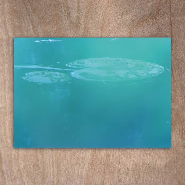 Ansichtkaart Eye0257 Blimen Waterlelies voor wholesale door eye-comm