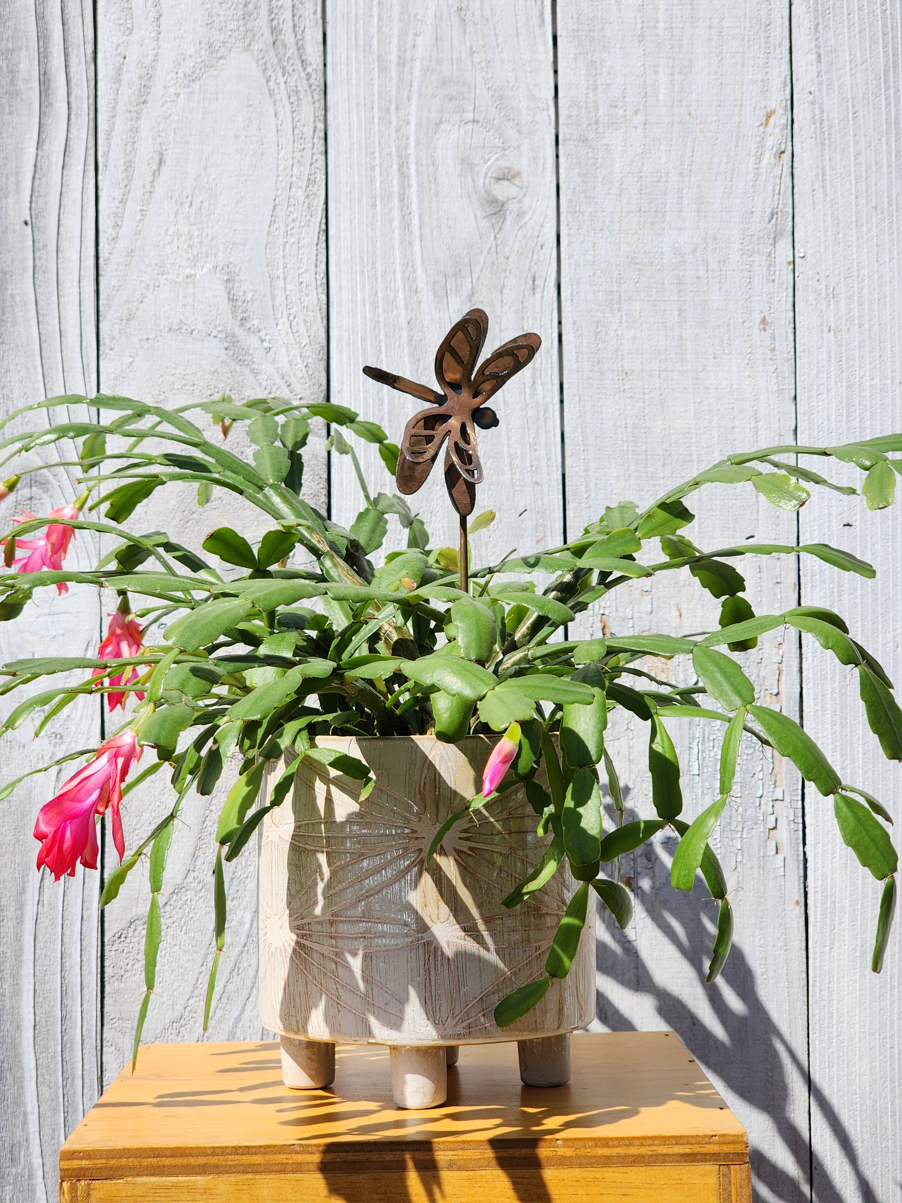 Rustic Metalz - Wholesale Tuin/gazongrondpennen/pinnen - Dragonfly - Dragonfly tuinpaal voor binnen en buiten voor planten2