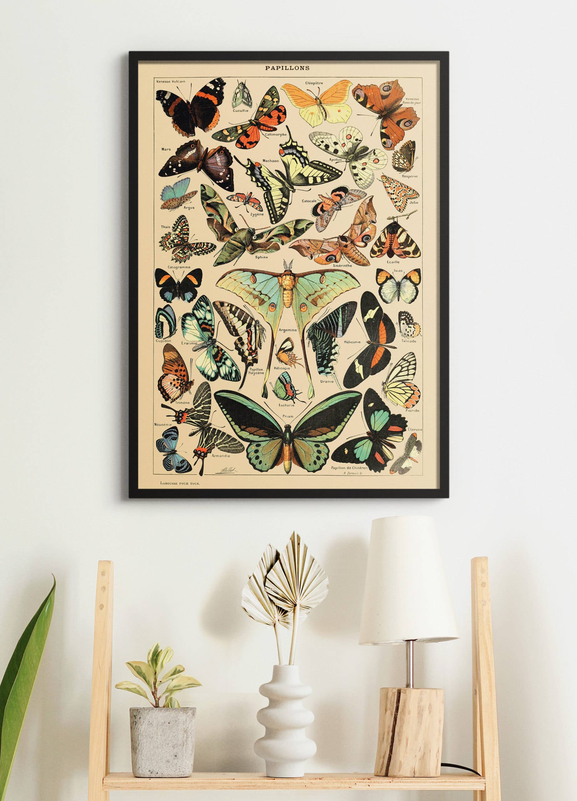 Esque - Wholesale Poster - Vintage Butterflies Poster2