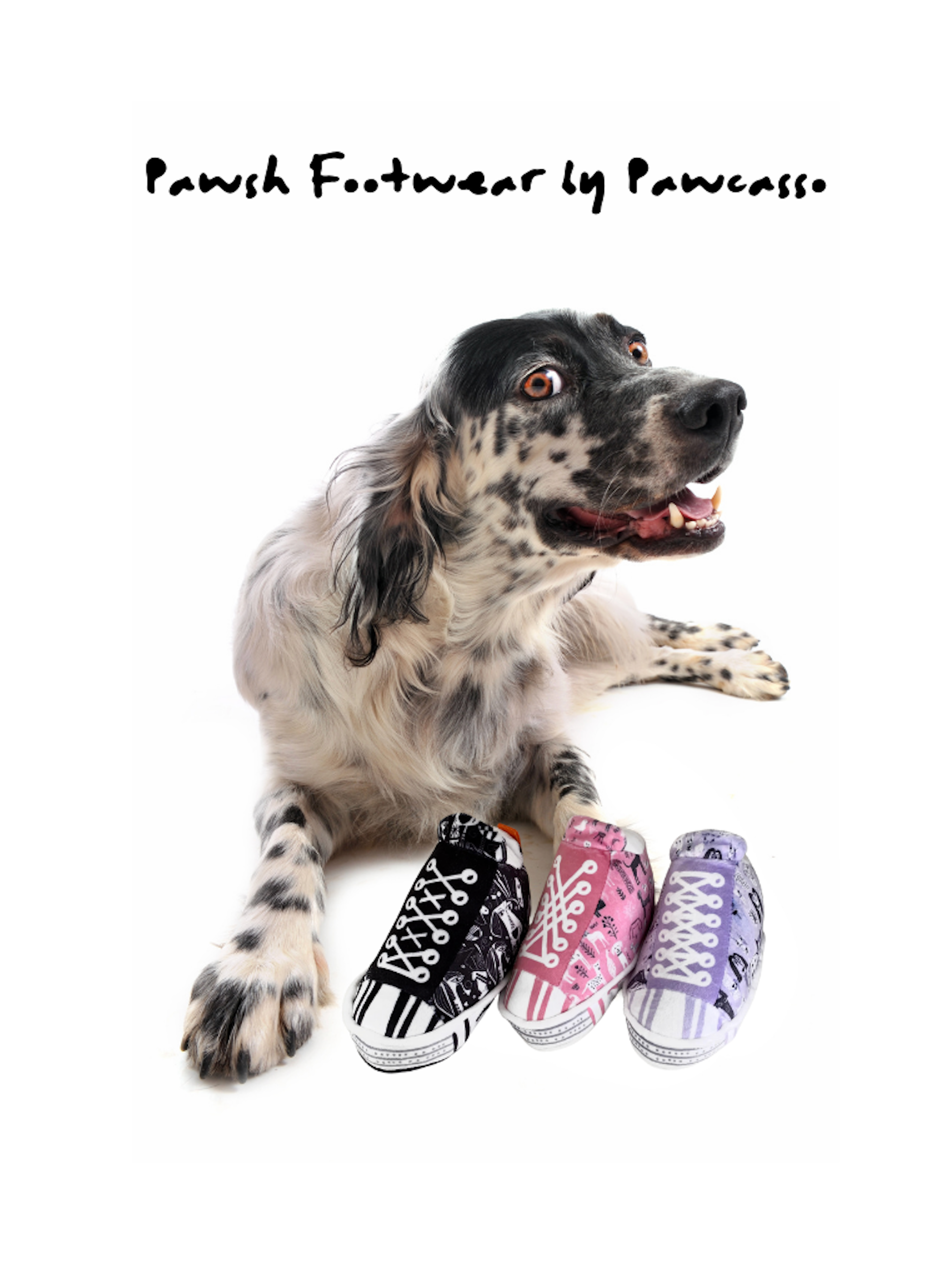 Pawcasso – Peluche - Cão por atacado – Pacote de Sapatilhas Pawcasso6